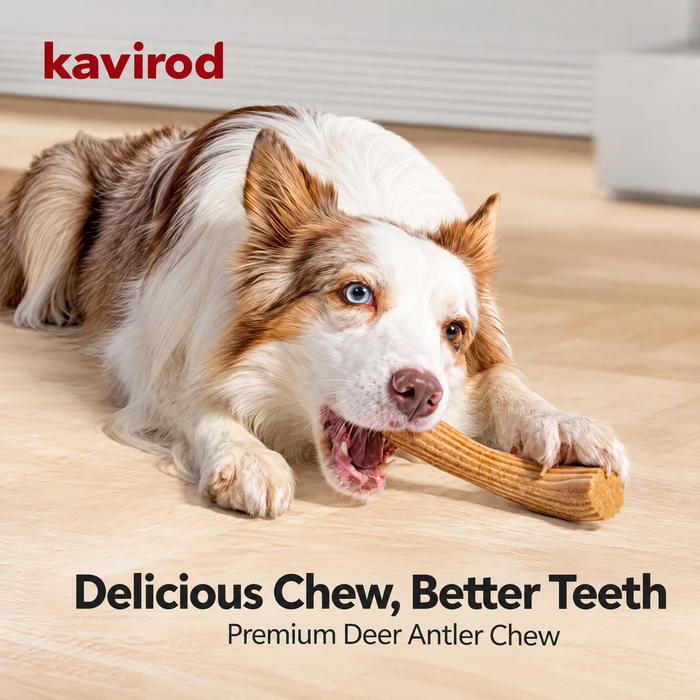 Woodland Chew Wooden Antler-Shaped Dog Toy, Textured Puppy Chew Stick