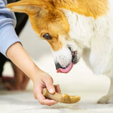 Woodland Chew Wooden Antler-Shaped Dog Toy, Textured Puppy Chew Stick