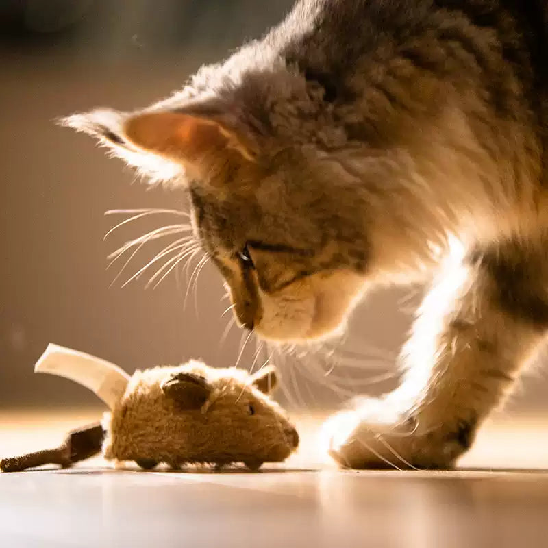 A little care goes a long way.