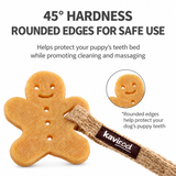 Ginger Chew Rubber Dog Chew Toy, Gingerbread-Shaped Textured Toy with Rope
