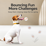 Bounce Buddy Dog Fetch Ball, Bouncy Floating Play Toy for Large Dogs