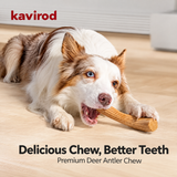 Woodland Chew Wooden Antler-Shaped Dog Toy, Textured Puppy Chew Stick