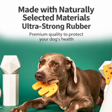 Bounce Buddy Dog Fetch Ball, Bouncy Floating Play Toy for Large Dogs