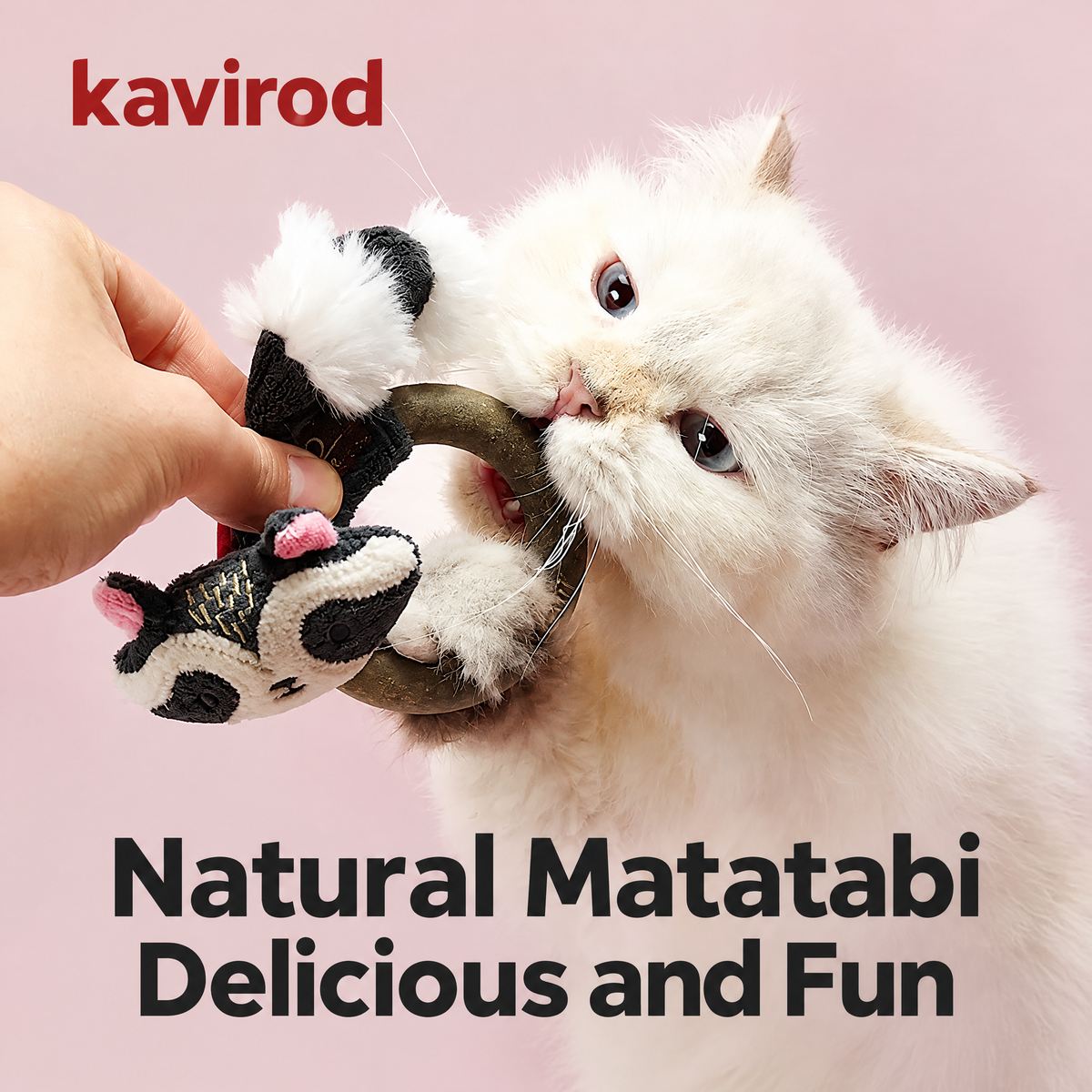 Silvervine Scout Cat Chew Toy, Matatabi Ring with Plush Animal and Crinkle Tail