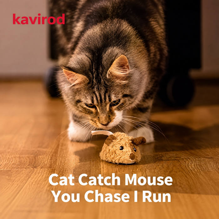 Mouse on the Move Electric Cat Toy, Wheeled Plush Mouse for Indoor Chase Play